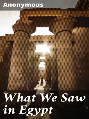 cover image of What We Saw in Egypt